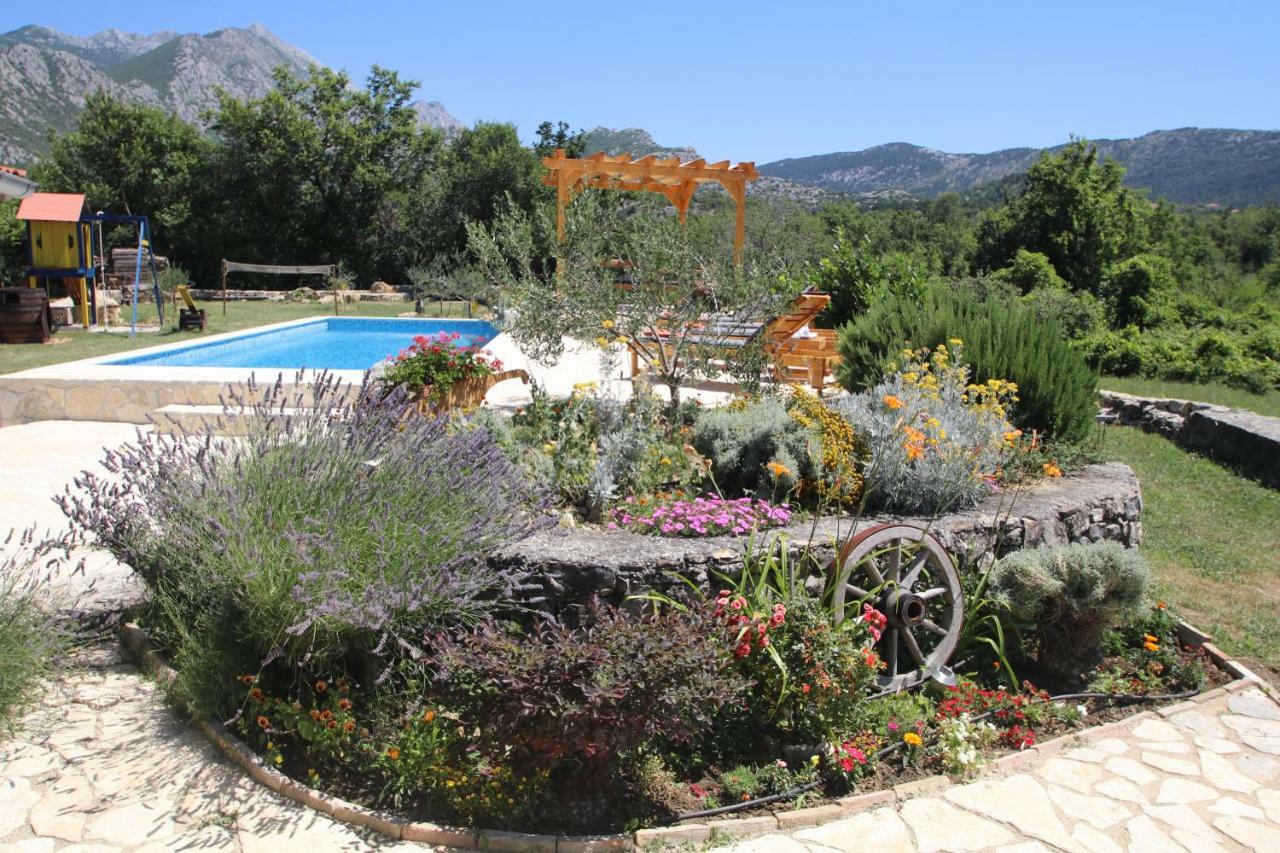 Oak House Villa Zadvarje ภายนอก รูปภาพ
